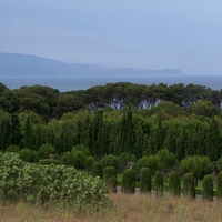 Photo de Espagne - Sant Martí d'Empúries